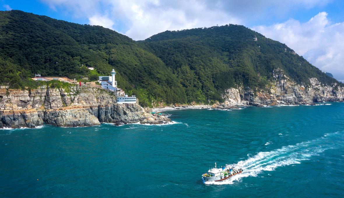 West Busan Hotspots Day Tour | Taejongdae + Huinnyeoul Culture Village + Gamcheon Culture Village + Songdo Skywalk | Busan Departure