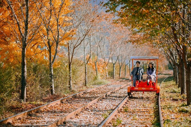 [From Seoul] Eobi Valley, Nami Island & Rail Bike (1-Day Tour)