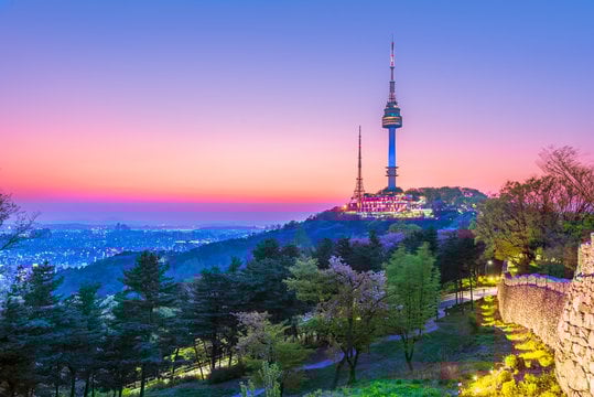 1-Day Seoul Tour for Foreigners - Blue House, Jogyesa Temple, N Seoul Tower, etc.
