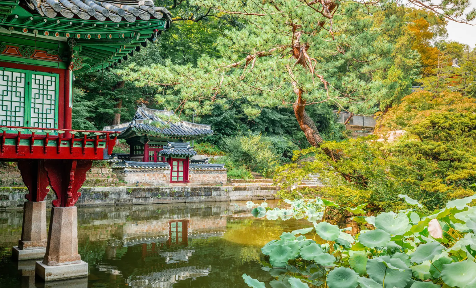 1-Day Seoul Daily Tour for Foreigners - Changdeokgung Palace, War Memorial, Seoul Sky