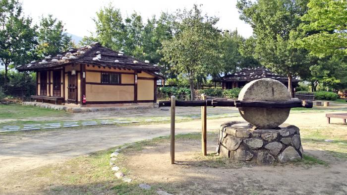 Pyeongchang & Jeongseon 2-Day Tour (Meadow Routes · Sky Road · Sensory Travel) – Seoul Departure