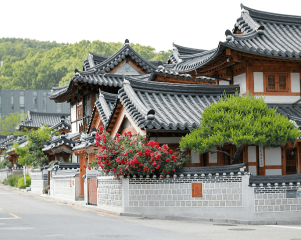 Seoul Cultural 2-Day Tour (Gyeongbokgung · Bukchon Hanok Village · Hiker Ground · Eunpyeong Hanok Village · Starfield Library) – Seoul Departure