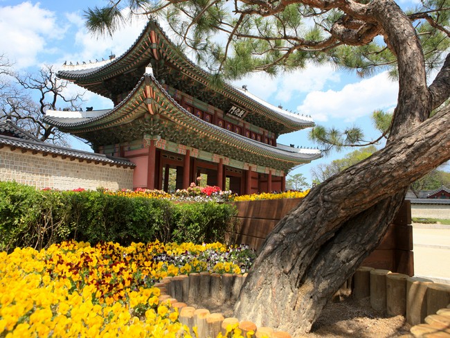 Tour Seoul 1 ngày dành cho du khách quốc tế – Changdeokgung, Bảo tàng Chiến tranh Hàn Quốc, Seoul Sky