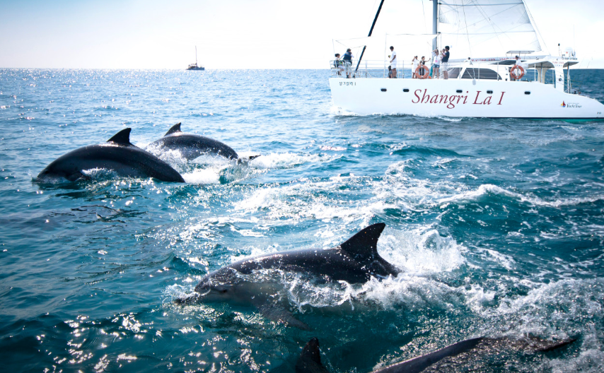 Jeju Island 3-Day Tour for Travelers – Departing from Seoul