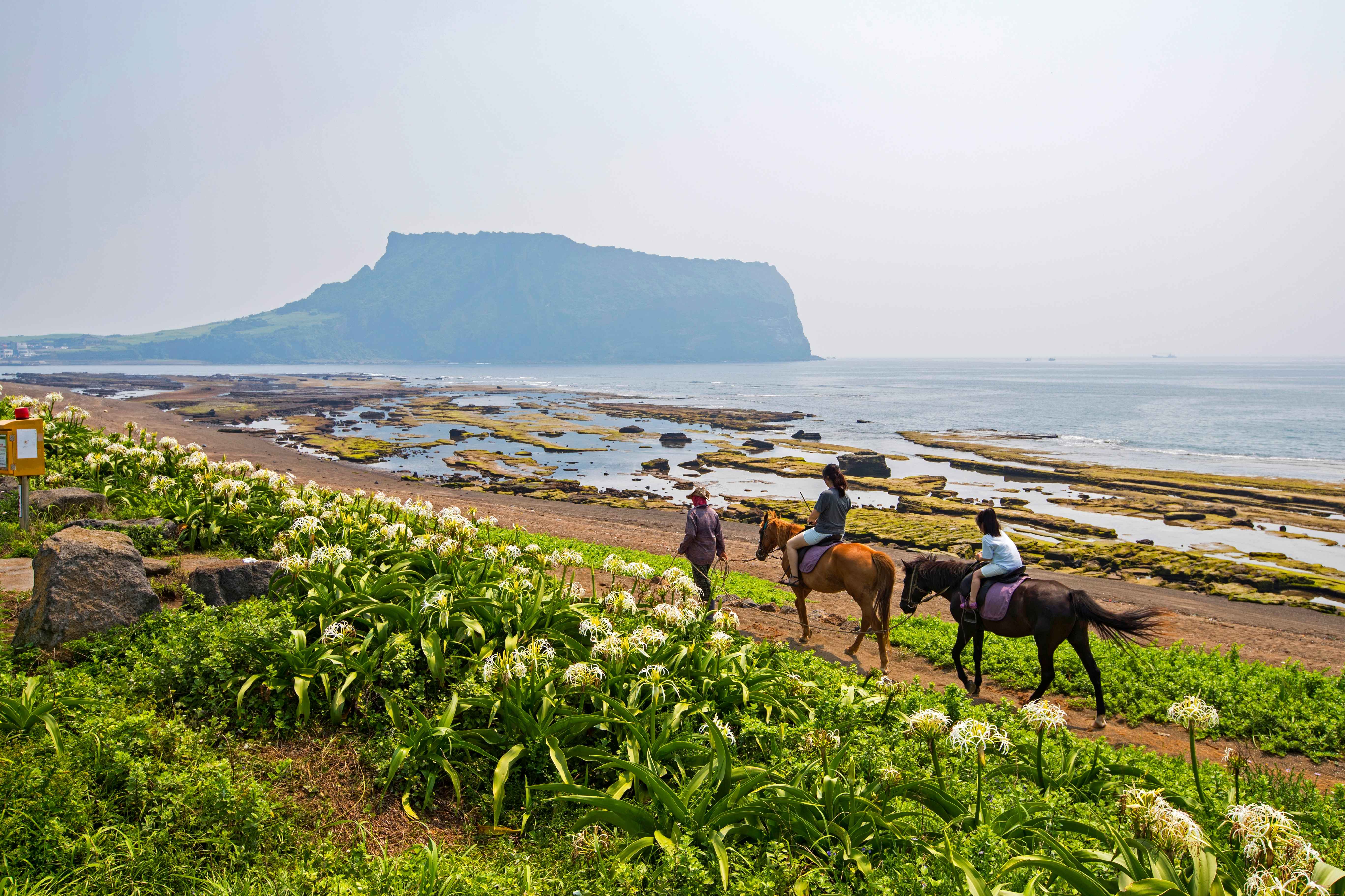 Jeju Island 3-Day Tour for Travelers – Departing from Seoul