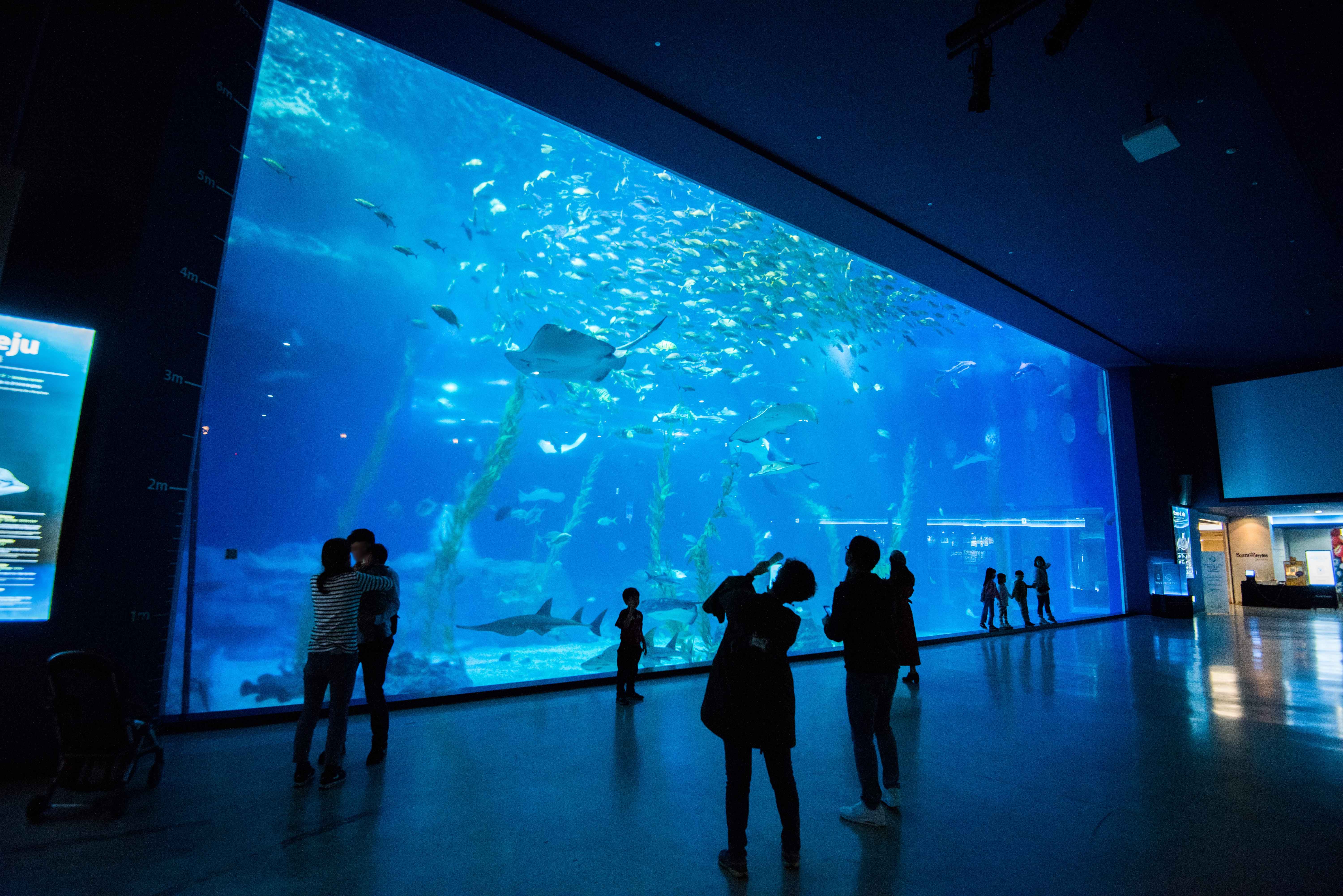 Jeju Island 3-Day Tour for Travelers – Departing from Seoul