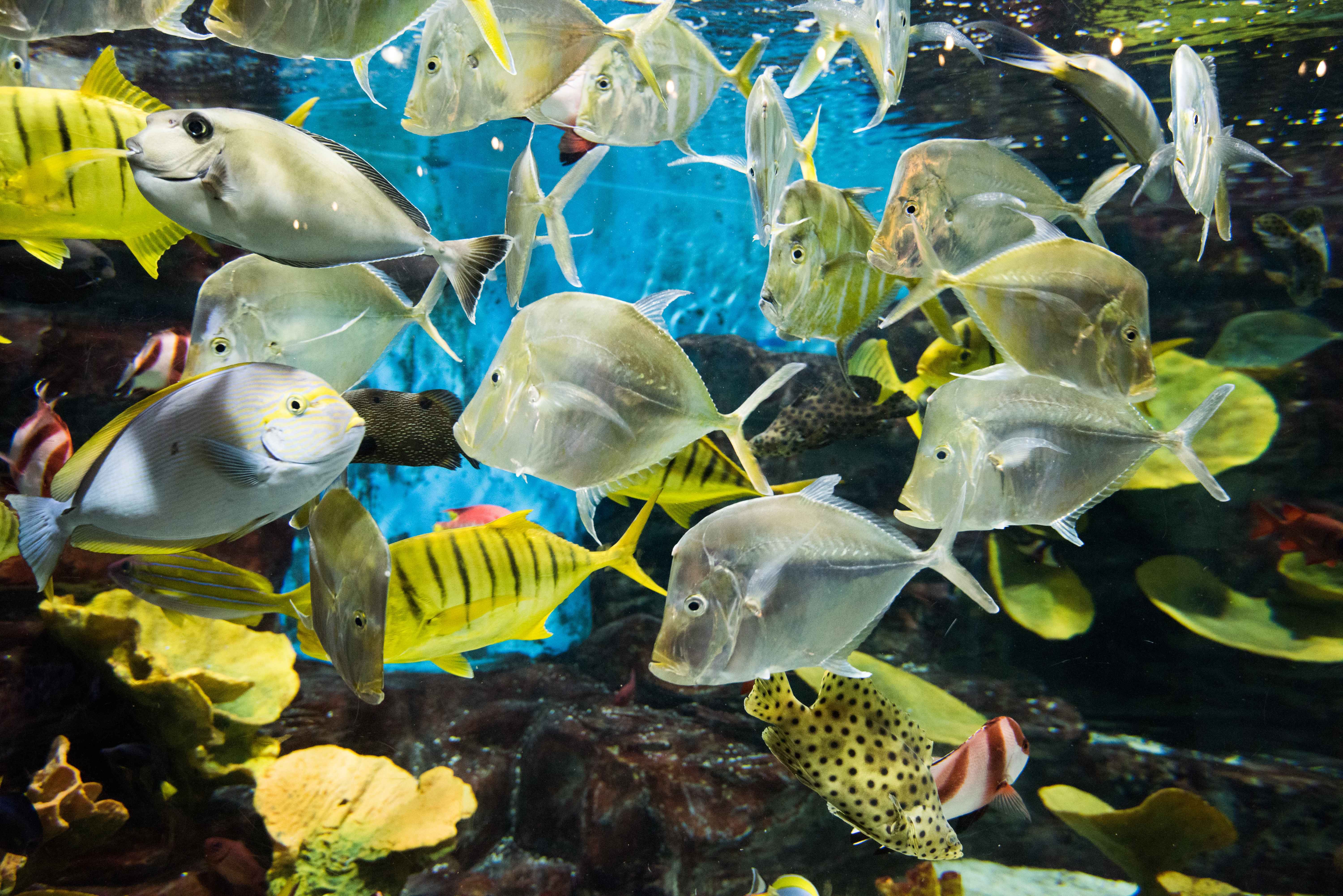 Jeju Island 3-Day Tour for Travelers – Departing from Seoul