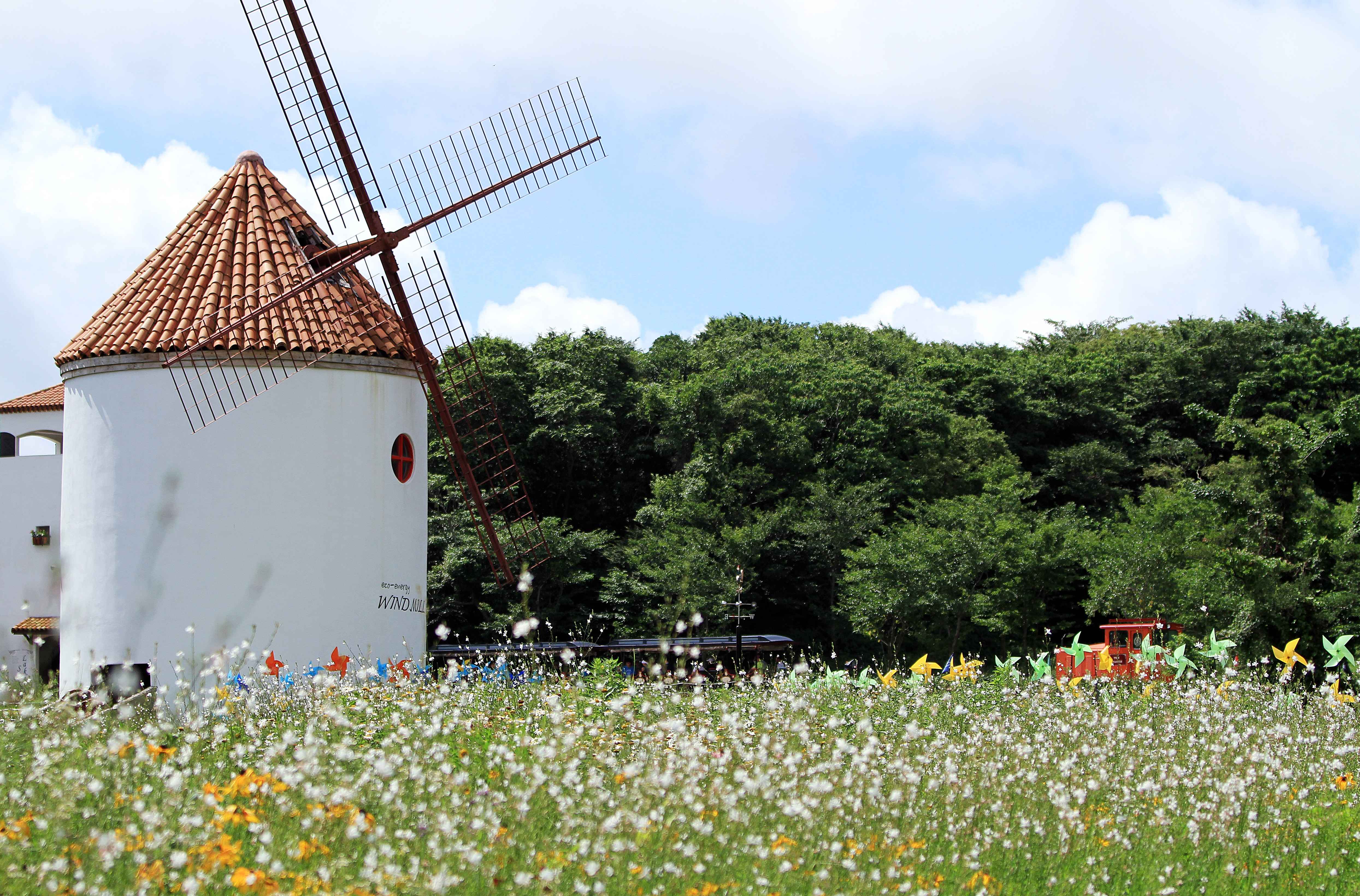 Jeju Island 3-Day Tour for Travelers – Departing from Seoul