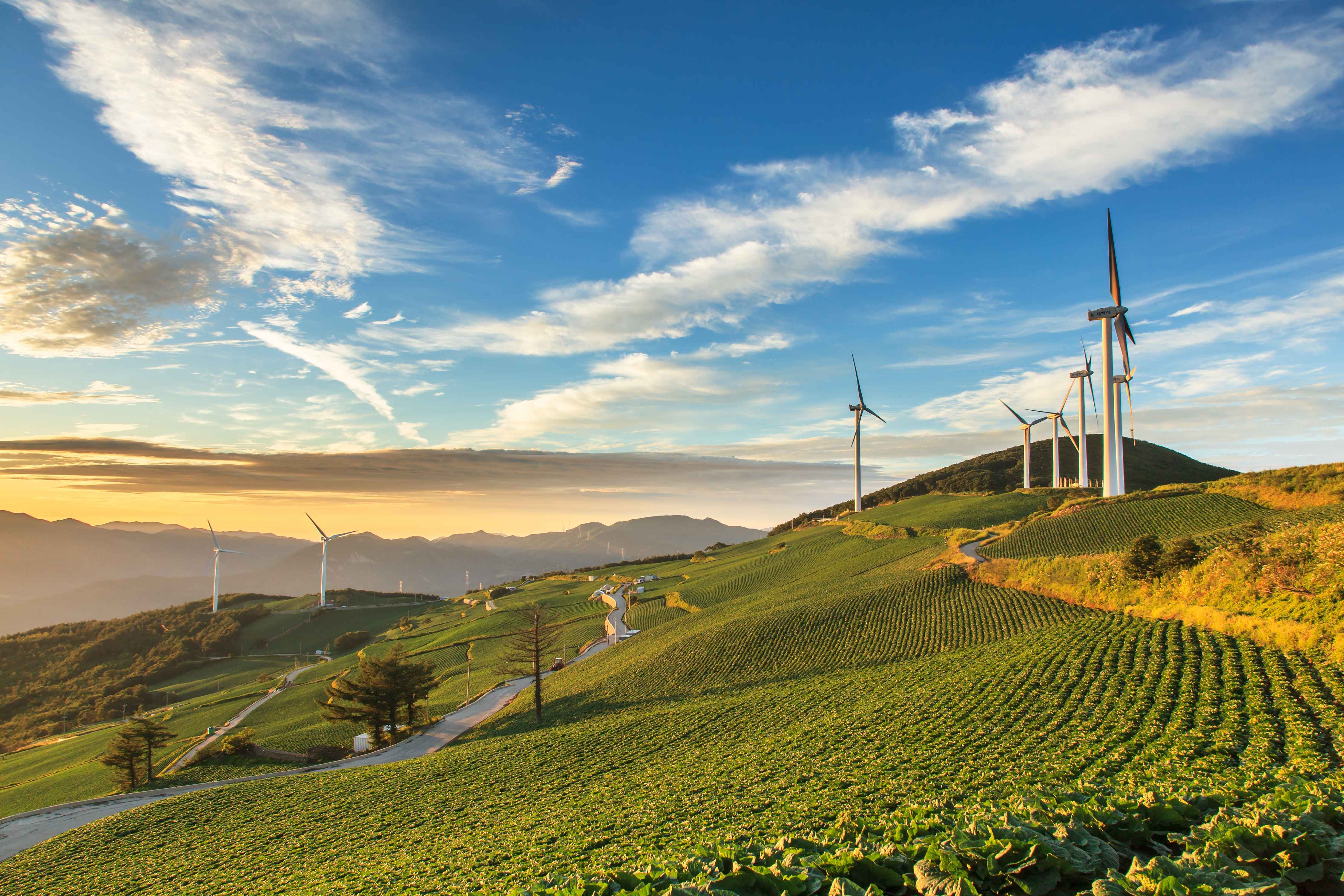 Gyeongsang Province 3-Day Tour (Tongyeong · Geoje) – Departing from Seoul