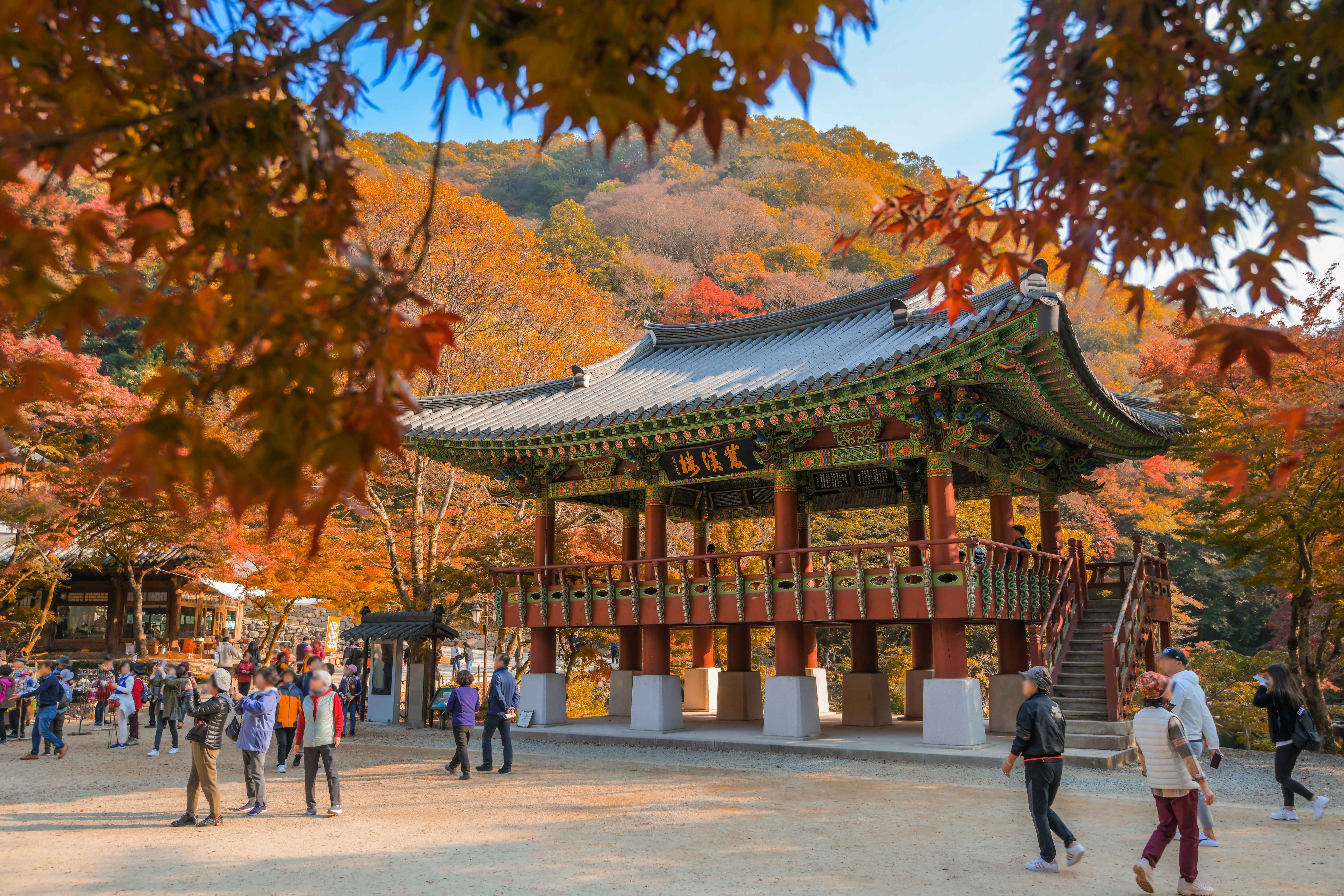 Jeollanam-do 3-Day Tour (Jeongeup · Haenam · Gangjin · Damyang) – Departing from Seoul