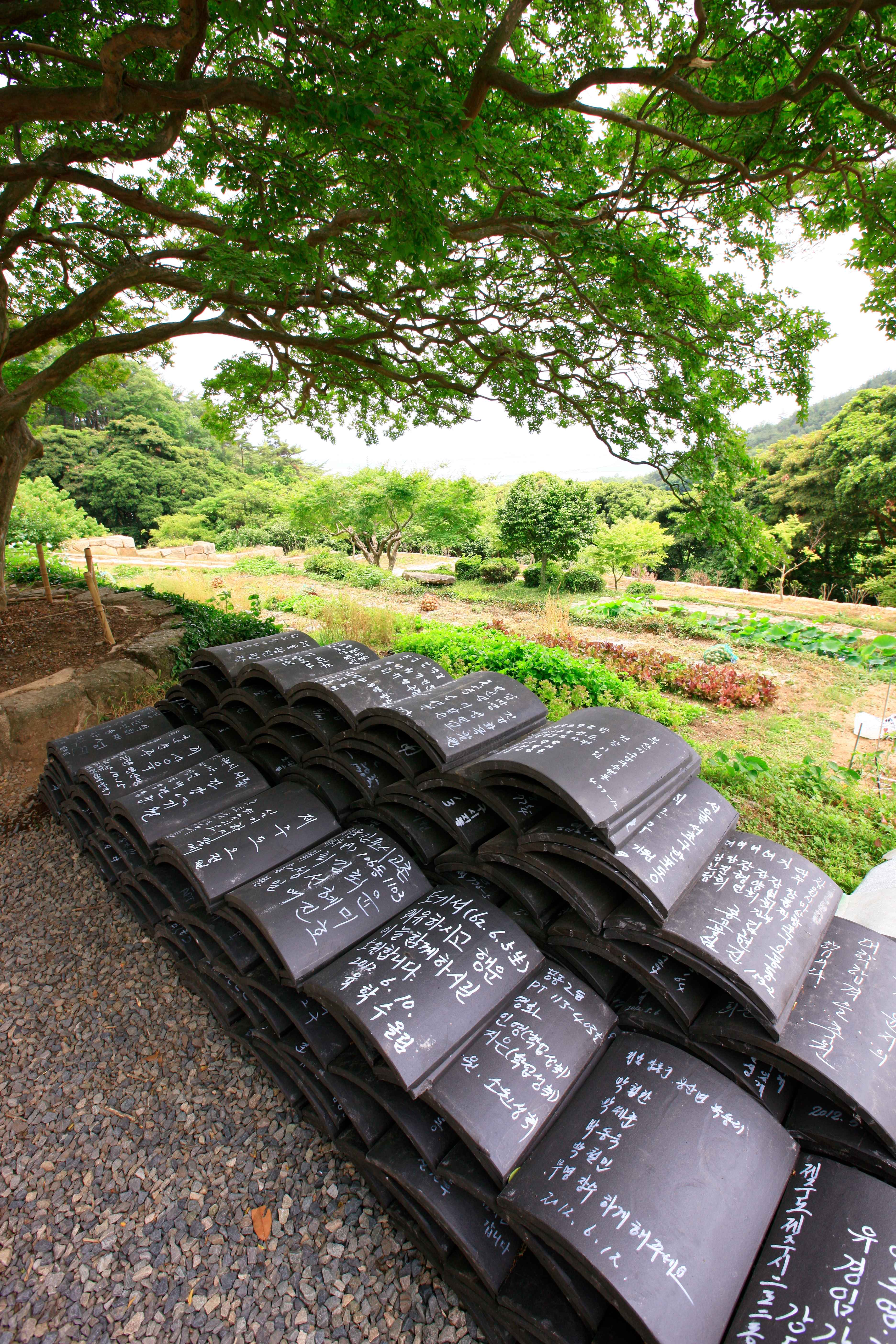 Jeollanam-do 3-Day Tour (Jeongeup · Haenam · Gangjin · Damyang) – Departing from Seoul