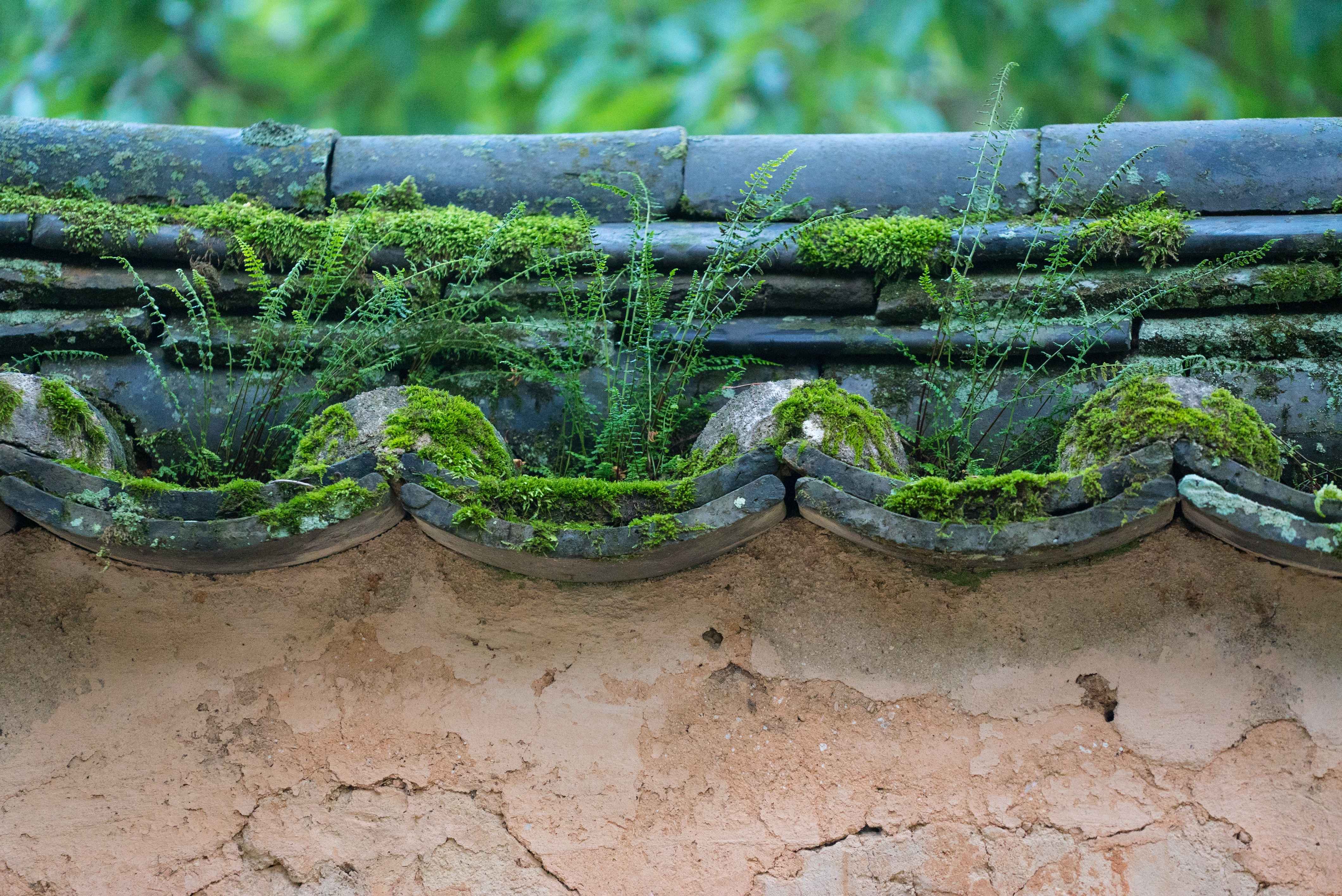 Jeollanam-do 3-Day Tour (Jeongeup · Haenam · Gangjin · Damyang) – Departing from Seoul