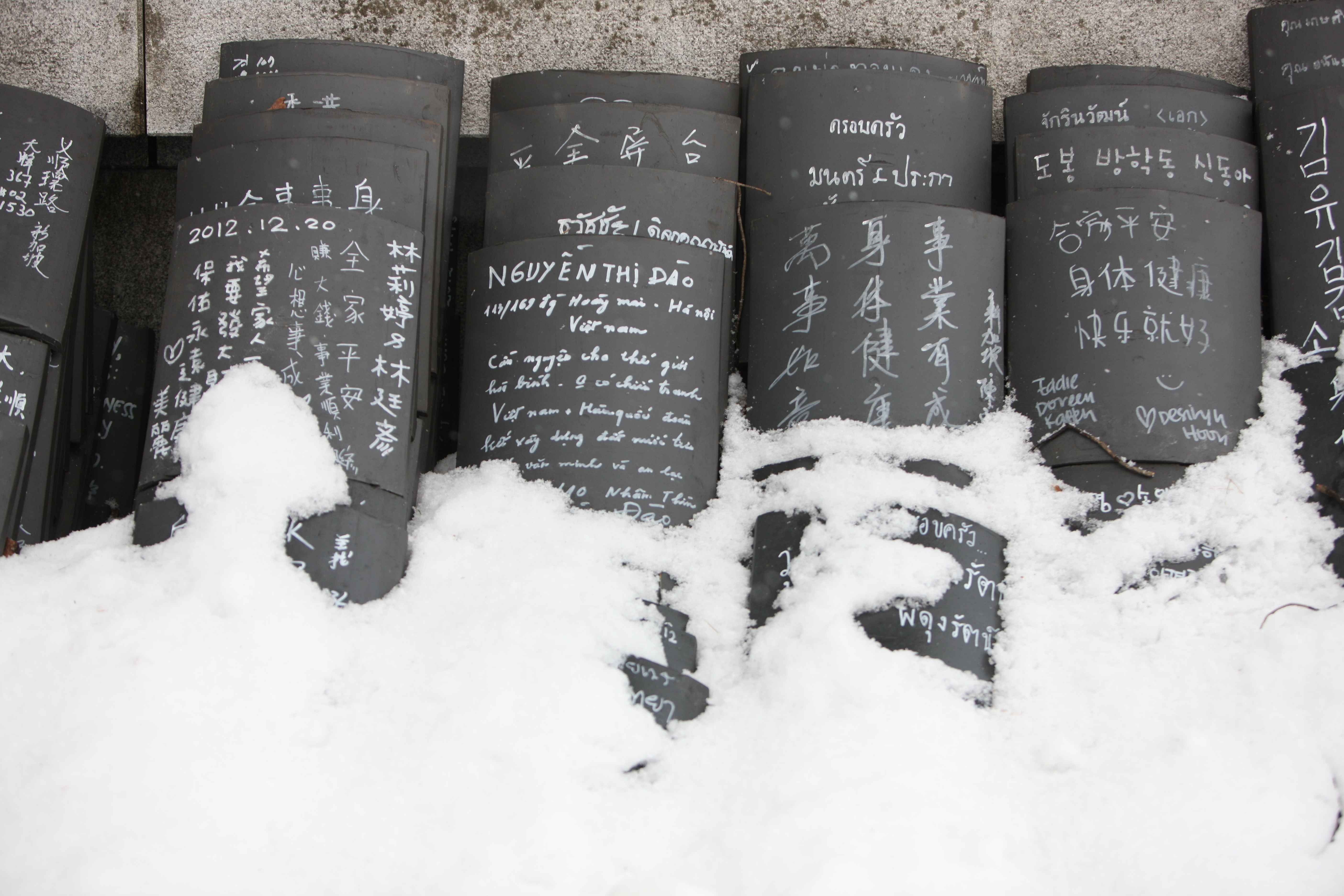 Gangwon-do Eastern Region 3-Day Tour (Gangneung · Sokcho · Samcheok) – Departing from Seoul