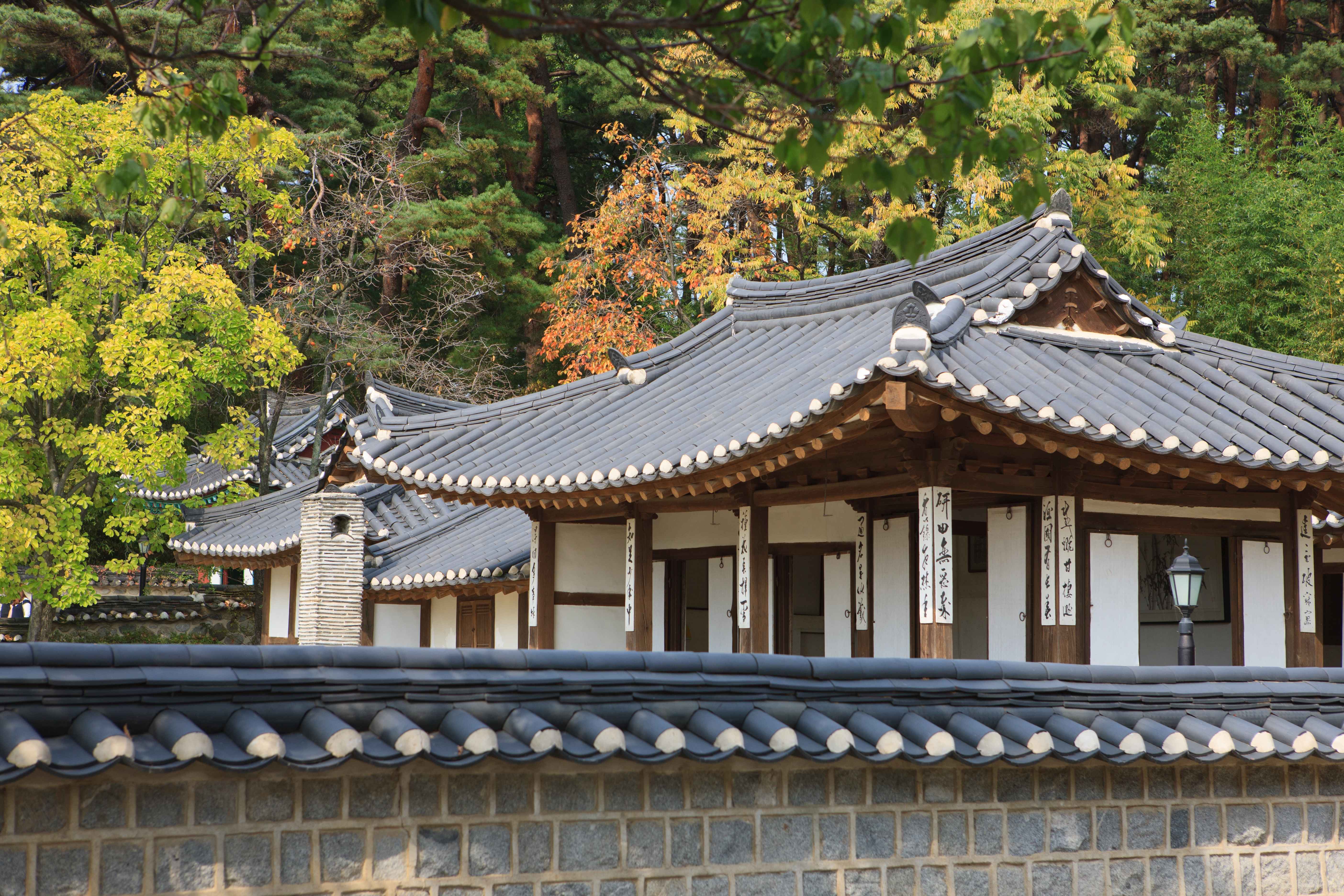 Gangwon-do Eastern Region 3-Day Tour (Gangneung · Sokcho · Samcheok) – Departing from Seoul
