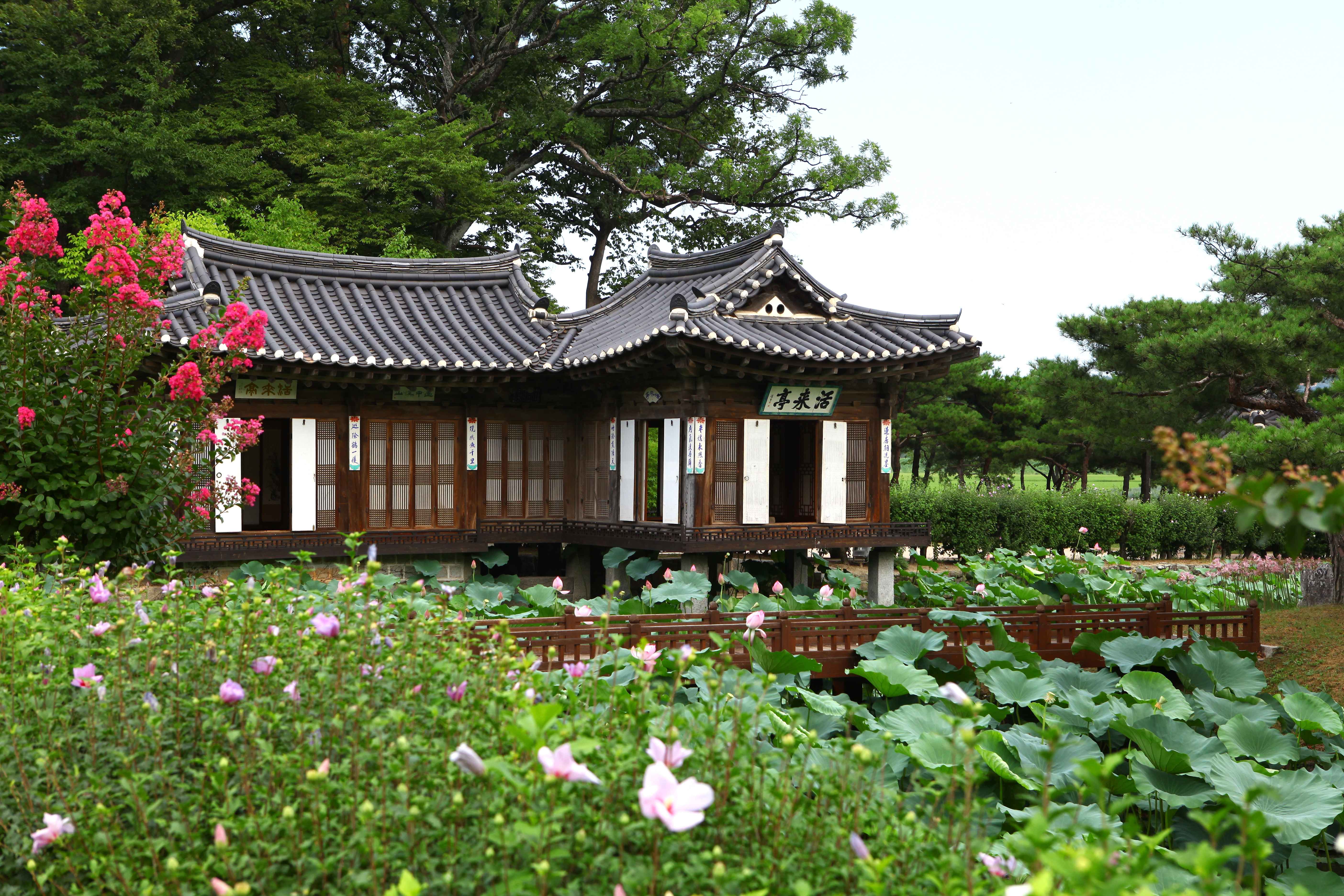 Gangwon-do Eastern Region 3-Day Tour (Gangneung · Sokcho · Samcheok) – Departing from Seoul