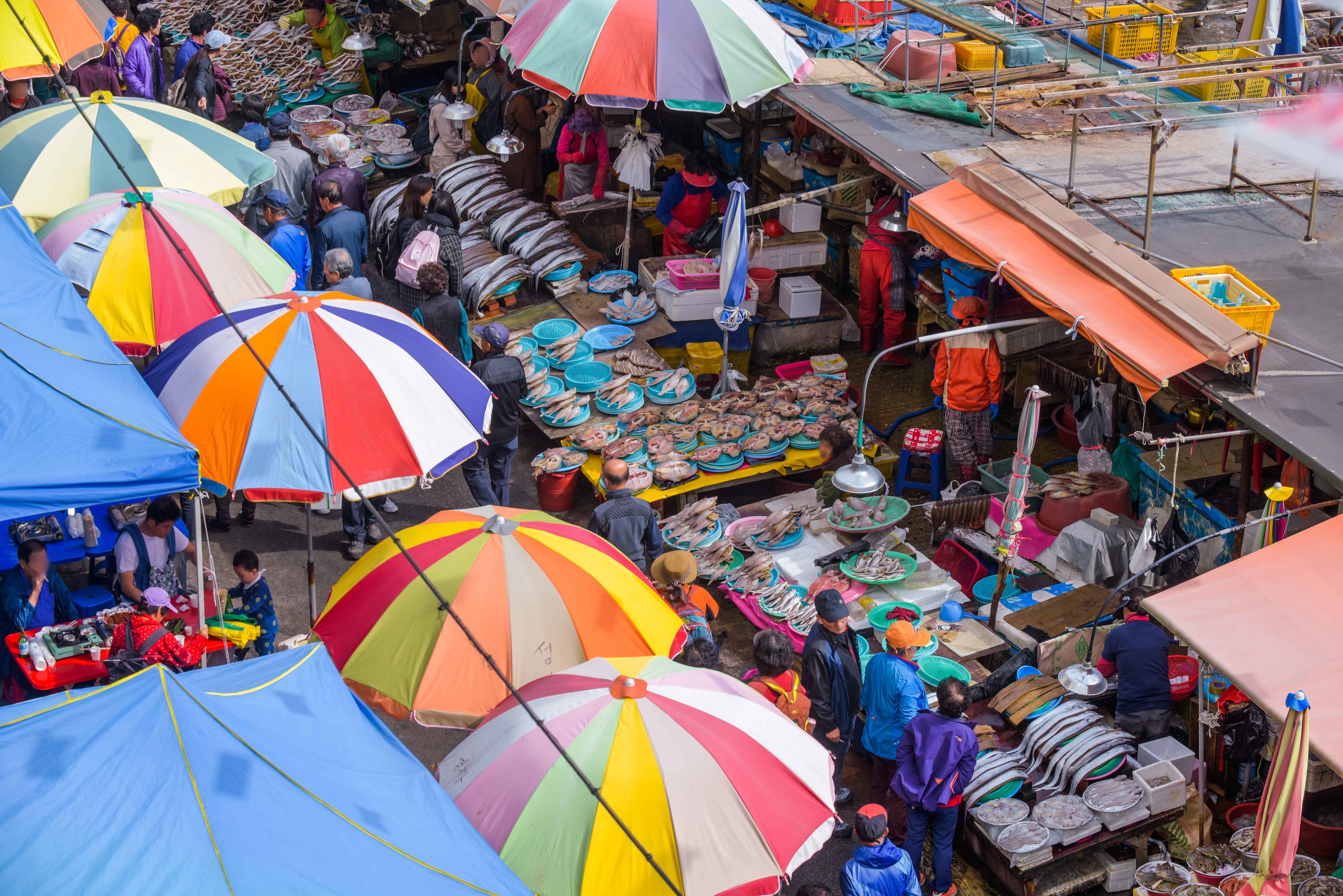 Gyeongsang Province 3-Day Tour (Busan · Geoje · Gyeongju)