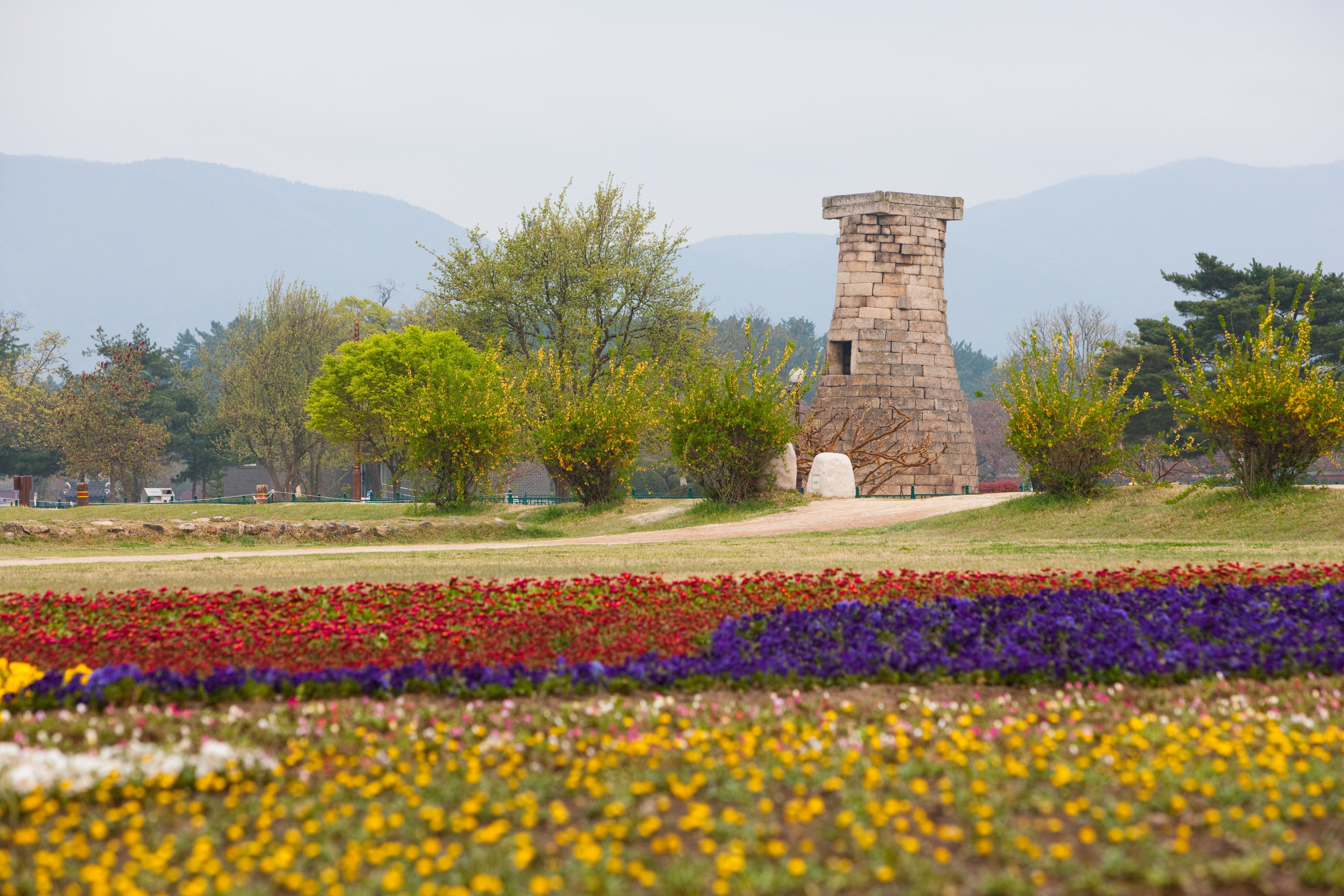 Gyeongsang Province 3-Day Tour (Gyeongju · Busan)