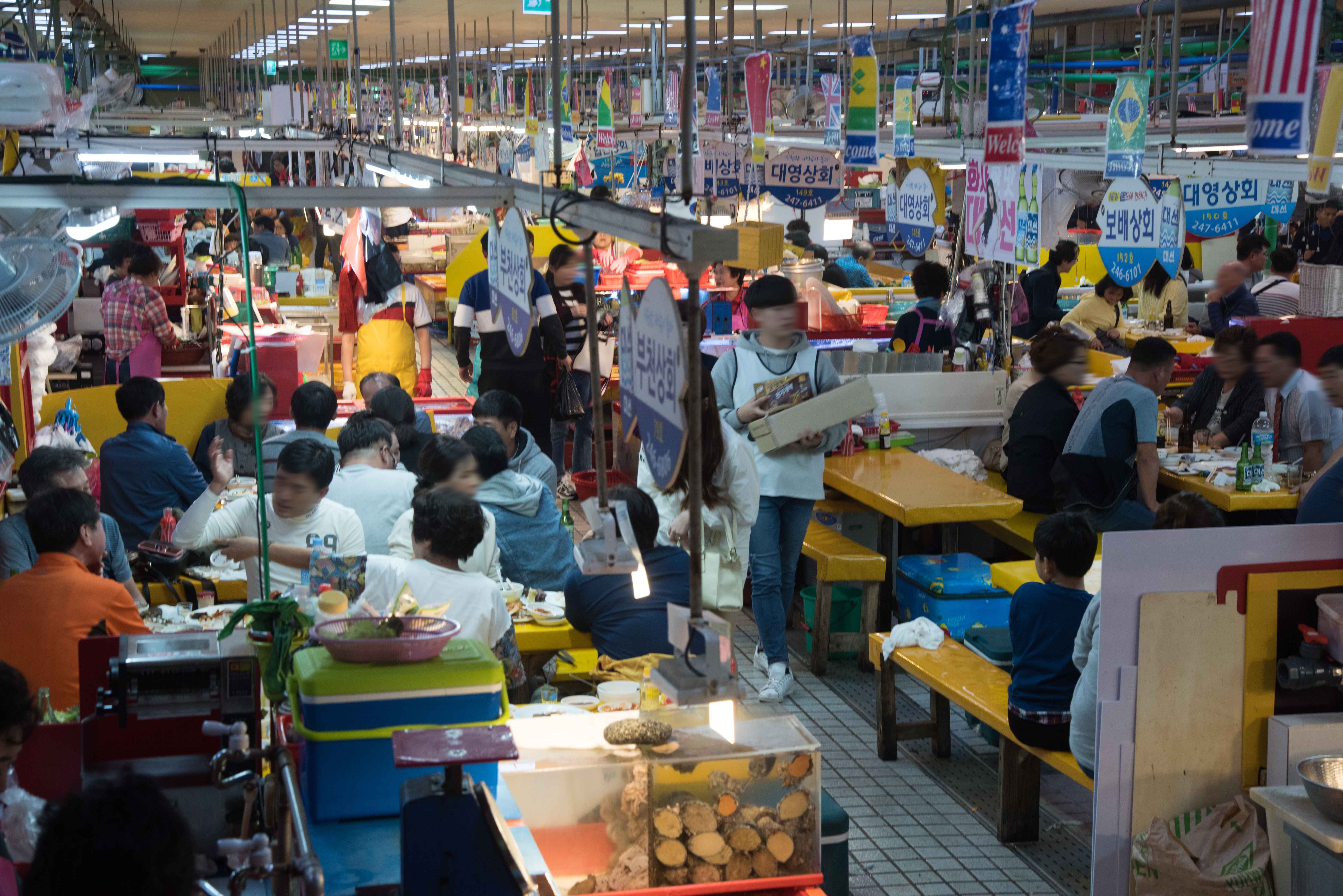 Gyeongsang Province 3-Day Tour (Gyeongju · Busan)