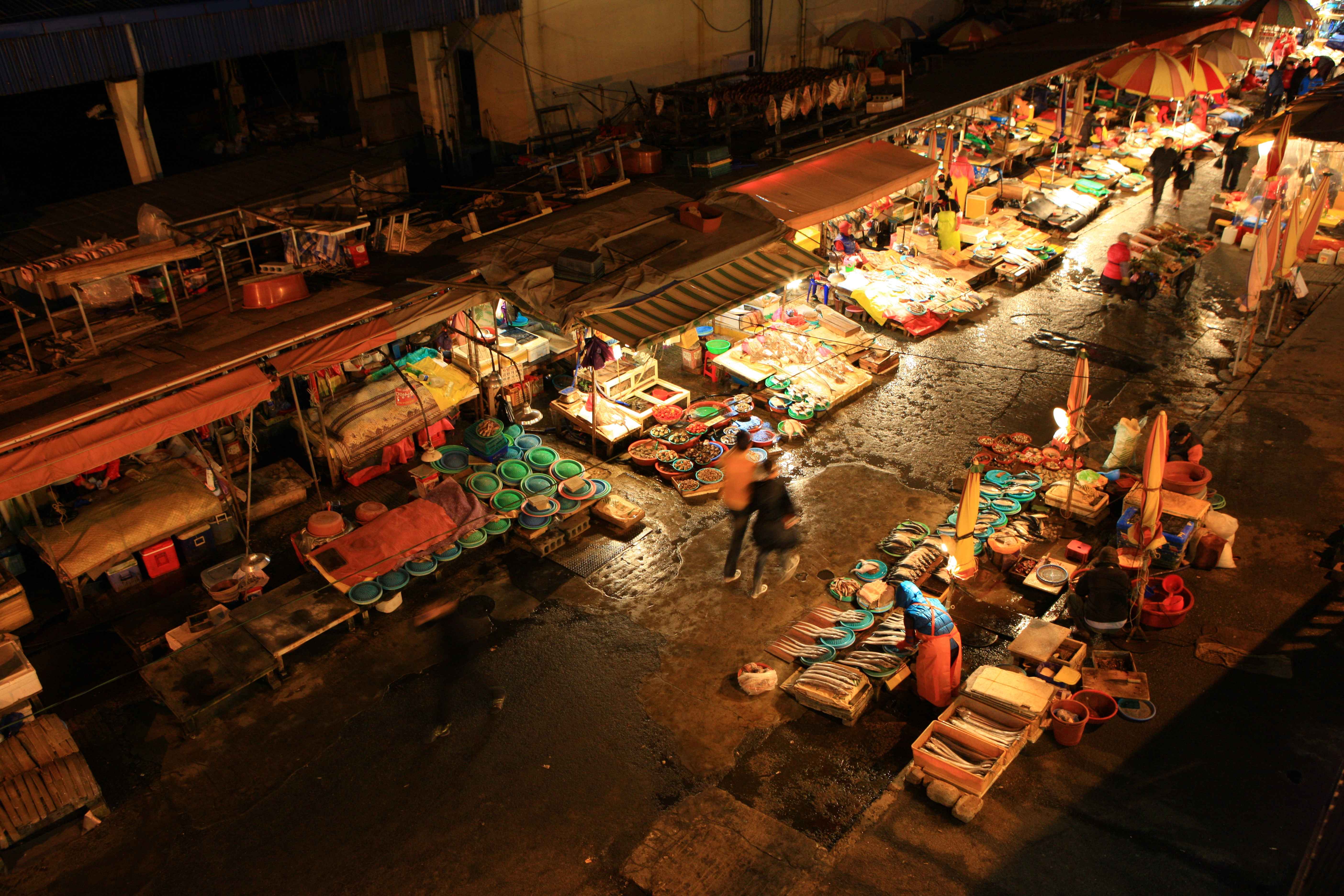 Gyeongsang Province 3-Day Tour (Gyeongju · Busan)