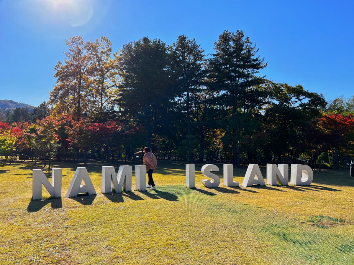 Seoul & Gyeonggi 2-Day Tour (Nami Island · Petite France · Dongdaemun · Gyeongbokgung · Myeongdong) – Seoul Departure