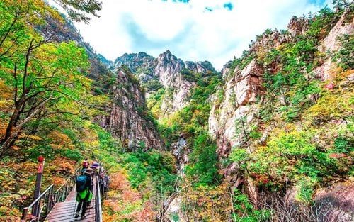 Gangwon-do 2-Day Tour (Inje · Sokcho · Wondae-ri Birch Forest · Seoraksan) – Seoul Departure