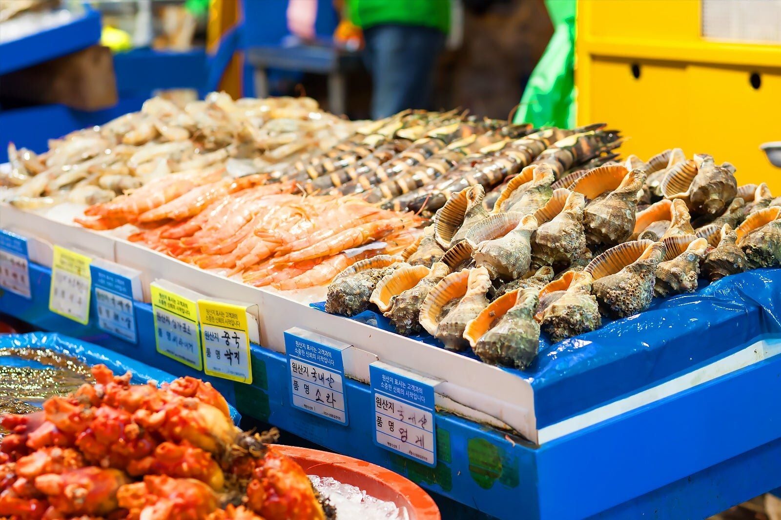 Gangwon-do 2-Day Tour (Inje · Sokcho · Wondae-ri Birch Forest · Seoraksan) – Seoul Departure