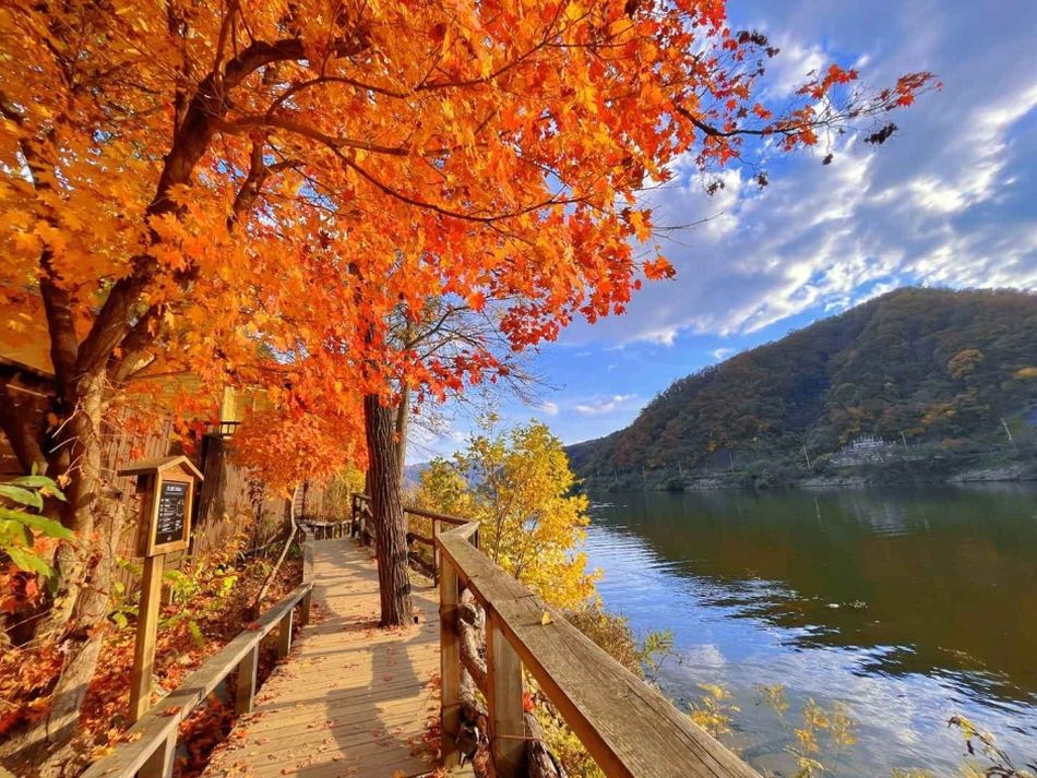 Chuncheon & Gapyeong 2-Day Tour (Nami Island · Samaksan Mountain · Rail Bike) – Seoul Departure