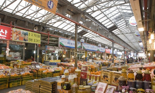 Chuncheon & Gapyeong 2-Day Tour (Nami Island · Samaksan Mountain · Rail Bike) – Seoul Departure