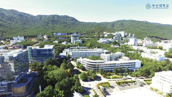 Studying Korean at Pusan National University review image