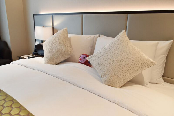Superior Suite + Bữa sáng cho 2 người